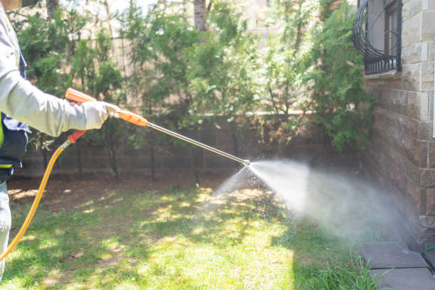 Best Wasp Removal Services  in Crooked River Ranch, OR