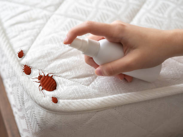 Best Best Pest Control Companies  in Crooked River Ranch, OR