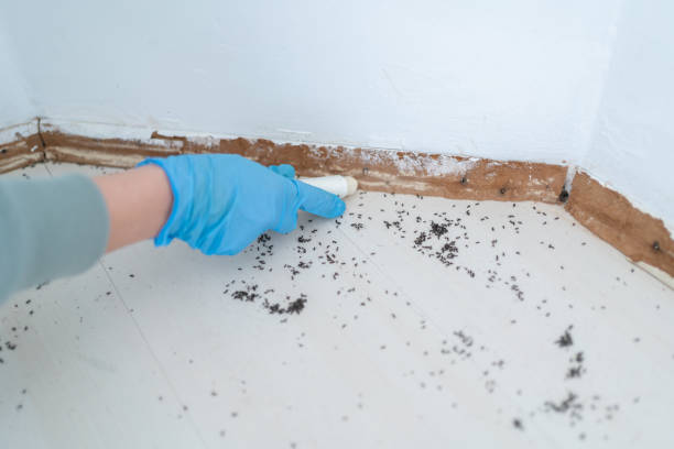 Best Pest Prevention Services  in Crooked River Ranch, OR